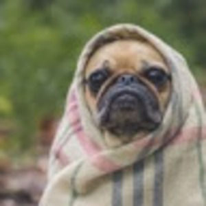 Meet your Posher, Jc